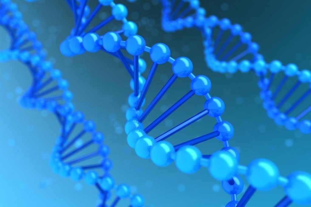 DNA Testing and Nutrigenomics
